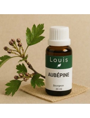 https://www.louis-herboristerie.com/85555-home_default/aubepine-macerat-mere-de-bourgeons-bio-stress-et-tension-30-ml.jpg Image 85555 supplémentaire pour Aubépine Macérât-mère de Bourgeons Bio - Stress et Tension 30 ml