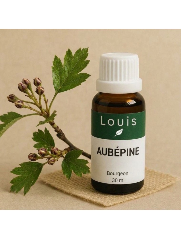 Image principale de la modale pour Aubépine Macérât-mère de Bourgeons Bio - Stress et Tension 30 ml