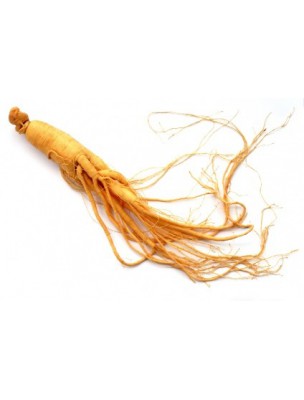 Image 8735 supplémentaire pour Extrait de Ginseng pur en pâte dans sa jarre - Tonus et vitalité 30g - Nutrition Concept