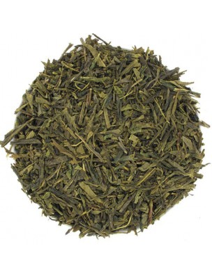 Image de Vert de Chine sencha - Thé plaisir 100g via Théière en fonte Noire Rosaces 0,8L - Marque