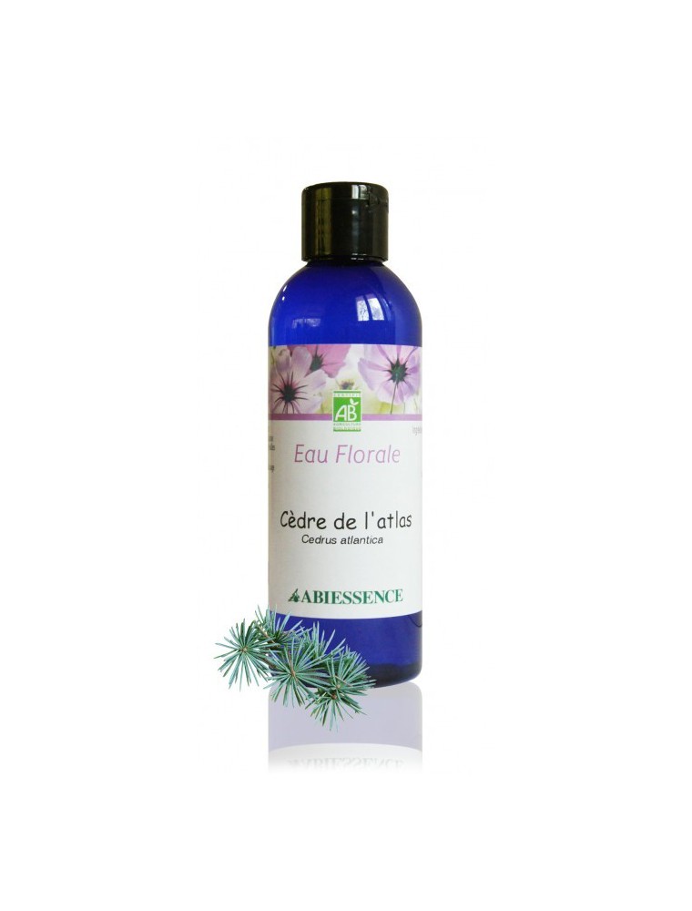 Image principale de la modale pour Cèdre de l'Atlas Bio - Hydrolat (eau florale) 200 ml - Abiessence