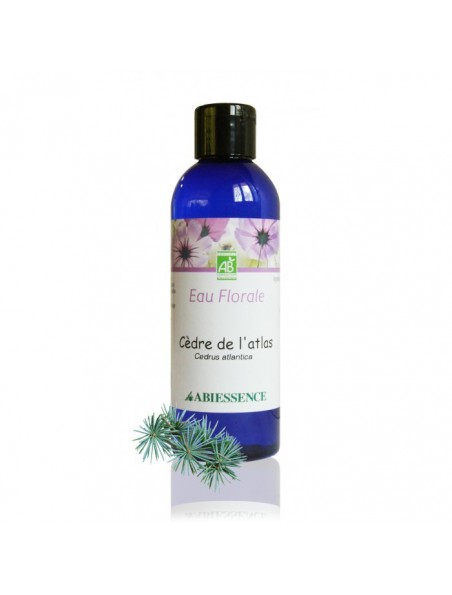 Achetez Cèdre de l'Atlas Bio - Hydrolat (eau florale) 200 ml - Abiessence à l'herboristerie Louis Image principale de Cèdre de l'Atlas Bio - Hydrolat (eau florale) 200 ml - Abiessence