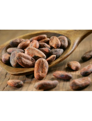 https://www.louis-herboristerie.com/9067-home_default/organic-cocoa-butter-active-ingredient-pastilles-100g-bioflore.jpg