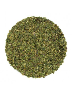 Image de Maté vert du Brésil Bio - Thé plaisir 90g depuis Résultats de recherche pour "Moringa Mint Or"