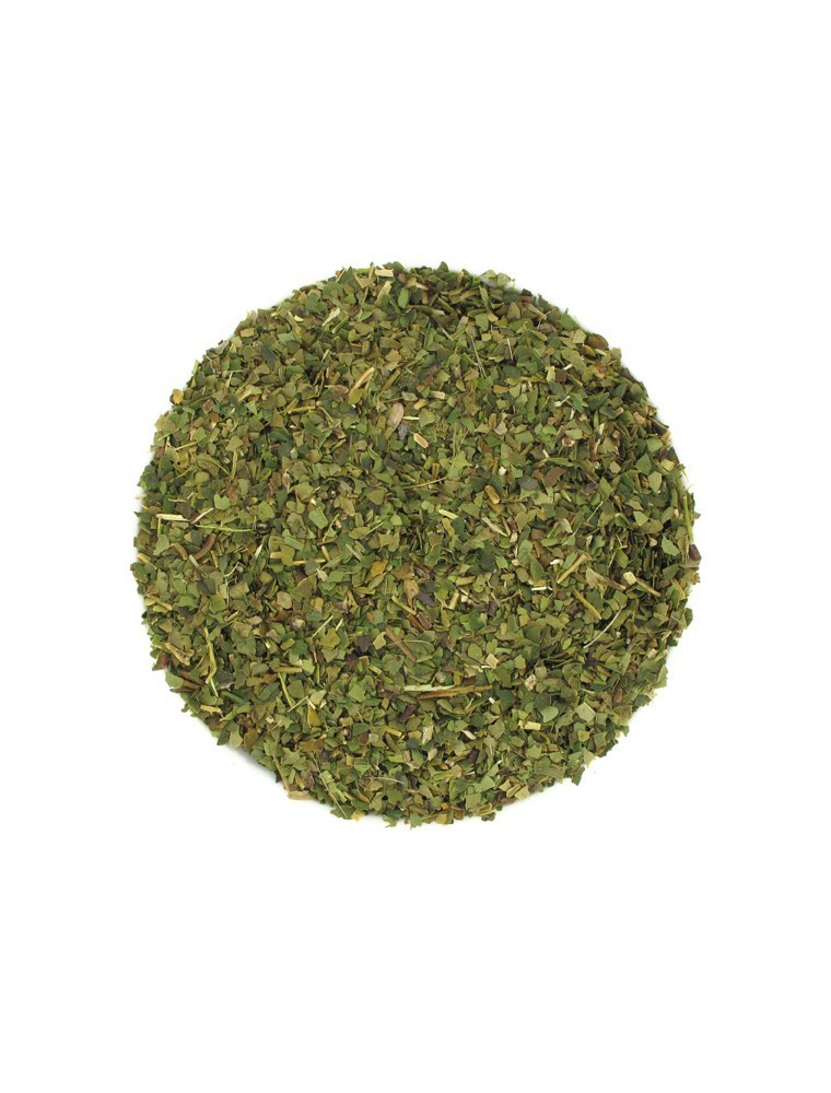 Image principale de la modale pour Maté Vert Bio - Thé Bien-Être du Brésil 90g