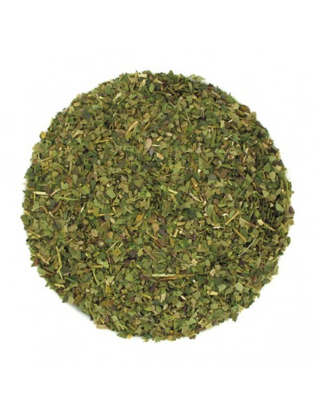 Image principale de Maté Vert Bio - Thé Bien-Être du Brésil 90g