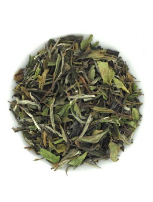 Image de Baï Mu Tan Superior - Tea pleasure 40g depuis By type of tea