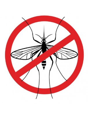https://www.louis-herboristerie.com/9156-home_default/summer-incense-anti-mosquito-12-sticks-of-50-minutes-les-encens-du-monde.jpg