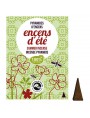 Image de Summer Incense Pyramids - Anti-mosquitoes 10 pyramids and 1 incense-holder - Les Encens du Monde via Buy Black Buddha - Holders for incense - Les Encens du
