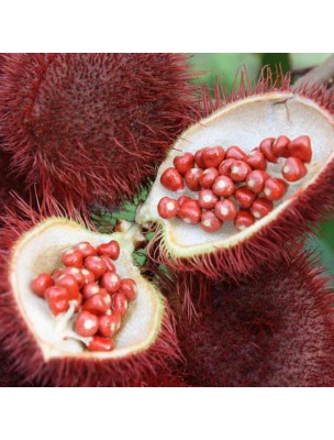 https://www.louis-herboristerie.com/9257-home_default/urucum-roucou-preparation-de-la-peau-au-soleil-80-tablettes-guayapi.jpg
