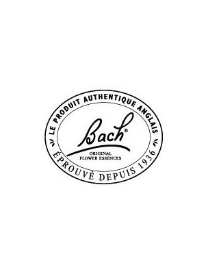 https://www.louis-herboristerie.com/9353-home_default/box-38-flowers-of-bach-2-rescue-in-10ml-special-edition-bach-original.jpg