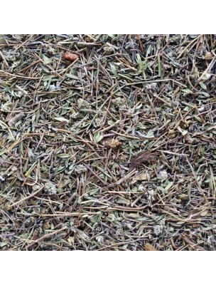 Image de Serpolet Bio - Sommité fleurie coupée 100g - Tisane Thymus serpyllum L. via Aigremoine - Sommité fleurie coupée 100g - Tisane