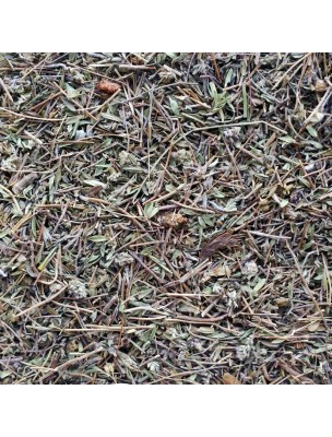 Image de Wild thyme organic - Cut flowering tops 100g - Herbal tea Thymus serpyllum L. via Buy Agrimony - Flowering tops 100g - Agrimonia eupatoria herbal tea