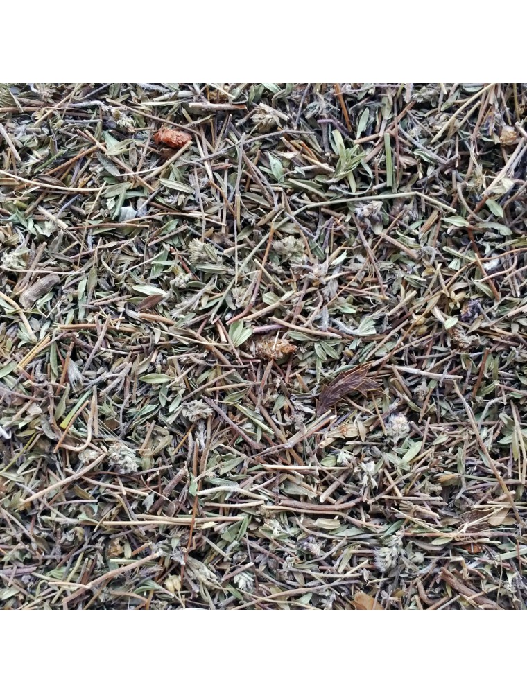 Image principale de la modale pour Serpolet Bio - Sommité fleurie coupée 100g - Tisane Thymus serpyllum L.