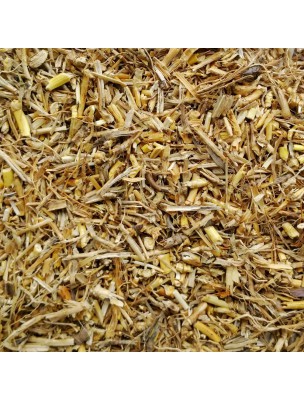 https://www.louis-herboristerie.com/9951-home_default/quackgrass-organic-cut-rhizome-100g-herbal-tea-from-elymus-repens-l-gould.jpg
