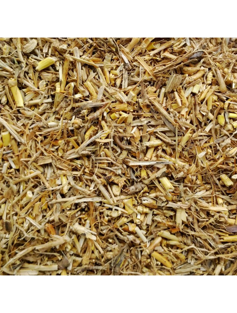 Image principale de la modale pour Chiendent Bio - Rhizome coupé 100g - Tisane de Elymus repens (L.) Gould