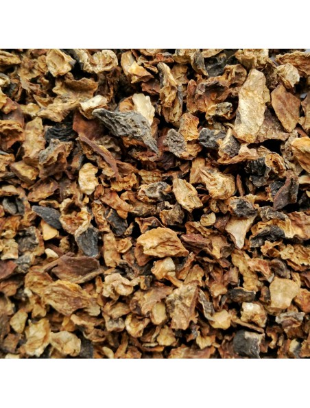 Achetez Radis noir Bio - Racine coupée 100g - Raphanus sativus à l'herboristerie Louis Image principale de Radis noir Bio - Racine coupée 100g - Raphanus sativus