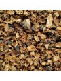 Image de Organic black radish - Cut root 100g - Raphanus sativus via Buy Black Radish Organic - Detox 40 phials -