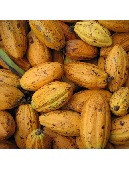 Image principale de Éclats de Fèves de cacao Bio - Magnésium et Antioxydants SuperFoods 200g - Purasana