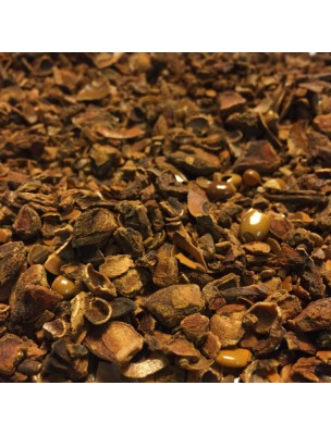 Image de Anis étoilé (badiane) Bio - Fruit concassé 100g - Tisane d'Illicium verum Hook. f. depuis Angélique Bio - L'herboristerie