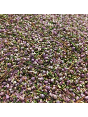 Image de Bruyère Bio - Fleurs et feuilles 100g - Tisane Calluna vulgaris (L.) Hull depuis Myrtille - Feuilles coupées 100g - Marque