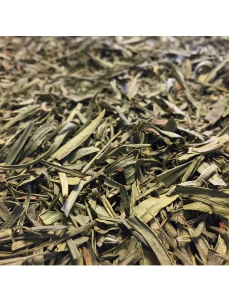 Achetez Estragon Bio - Feuilles 100g - Tisane d'Artemisia dracunculus L. à l'herboristerie Louis Image principale de Estragon Bio - Feuilles 100g - Tisane d'Artemisia dracunculus L.