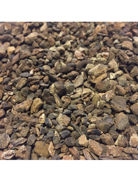 Achetez Rhubarbe Bio - Racine coupée 100g - Tisane de Rheum palmatum L. à l'herboristerie Louis Image principale de Rhubarbe Bio - Racine coupée 100g - Tisane de Rheum palmatum L.