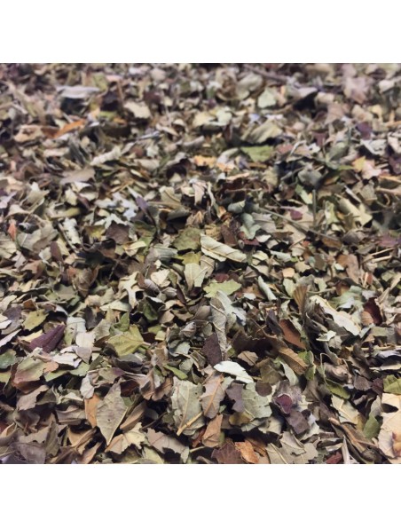 Achetez Ronce Bio - Feuilles coupées 100g - Tisane Rubus fruticosus L. à l'herboristerie Louis Image principale de Ronce Bio - Feuilles coupées 100g - Tisane Rubus fruticosus L.