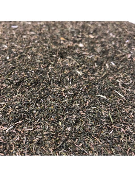 Achetez Aneth Bio - Feuilles 100g - Tisane d'Anethum graveolens L. à l'herboristerie Louis Image principale de Aneth Bio - Feuilles 100g - Tisane d'Anethum graveolens L.