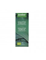 Image de Eucalyptus globuleux Bio - Huile essentielle pure Eucalyptus globulus Labill. 10 ml - Purasana depuis Huiles essentielles en E