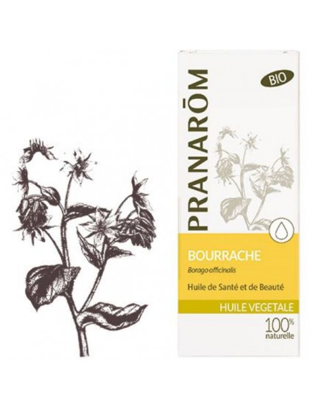 Achetez Bourrache Bio - Huile végétale Borago officinalis 50 ml - Pranarôm à l'herboristerie Louis Image principale de Bourrache Bio - Huile végétale Borago officinalis 50 ml - Pranarôm
