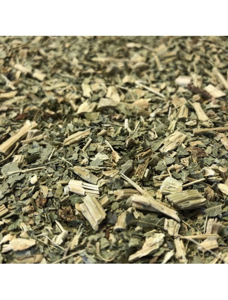 Achetez Cochléaire - Feuilles coupées 100g - Tisane de Cochlearia officinalis à l'herboristerie Louis Image principale de Cochléaire - Feuilles coupées 100g - Tisane de Cochlearia officinalis