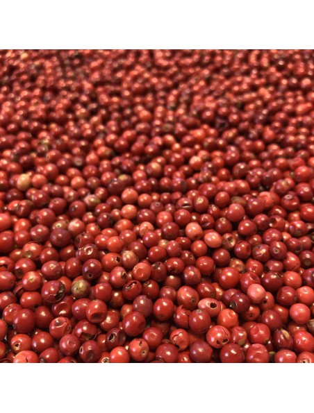 Achetez Poivre Rose Bio - Baie 100g - Tisane de Schinus terebenthifolia Raddi à l'herboristerie Louis Image principale de Poivre Rose Bio - Baie 100g - Tisane de Schinus terebenthifolia Raddi