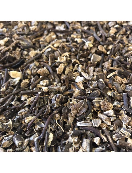 Achetez Cimicifuga (Actée à grappes) - Racine coupée 100g - Tisane de Cimicifuga racemosa à l'herboristerie Louis Image principale de Cimicifuga (Actée à grappes) - Racine coupée 100g - Tisane de Cimicifuga racemosa
