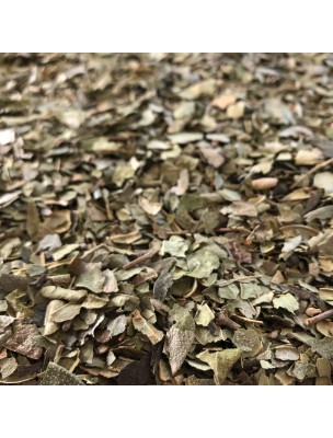 Image de Boldo Bio - Feuille coupée 100g - Tisane de Peumus boldus Molina depuis Psyllium blond Bio 300g - Nature et Partage