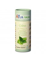 Image de Coleus - Métabolisme 60 gélules - Ayur-Vana depuis Gélules et comprimés de plantes unitaires - Découvrez notre sélection (3)