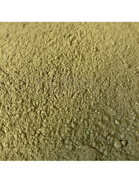 Achetez Pissenlit Bio - Partie aérienne poudre 100g - Tisane Taraxacum gpe officinale à l'herboristerie Louis Image principale de Pissenlit Bio - Partie aérienne poudre 100g - Tisane Taraxacum gpe officinale