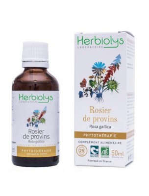 Image de Rosier de provins Bio - Inflammations et Diarrhées Teinture-mère Rosa gallica 50 ml - Herbiolys depuis Aigremoine Teinture-mère Agrimonia eupatoria 50 ml - Herbiolys