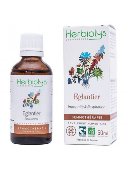 Achetez Eglantier Macérât de jeune pousse Bio - Immunité et Respiration 50 ml - Herbiolys à l'herboristerie Louis Image principale de Eglantier Macérât de jeune pousse Bio - Immunité et Respiration 50 ml - Herbiolys