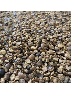 Image de Guarana Bio - Graines séchées coupées 100g - Tisane de Paullinia cupana depuis Thym Bio - Feuilles 100g