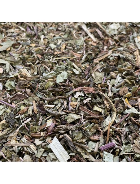 Achetez Pissenlit - Feuille coupée 100g - Tisane de Taraxacum dens leonis à l'herboristerie Louis Image principale de Pissenlit - Feuille coupée 100g - Tisane de Taraxacum dens leonis