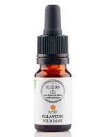 Image de Églantine (Wild Rose) N°37 Bio - Vitalité et Joie de Vivre Fleurs de Bach 10 ml - Elixirs and Co depuis 38 Fleurs de Bach unitaires - Commandez en ligne ! (2)