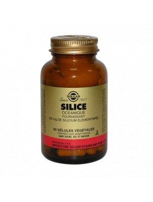 Image de Silice Océanique - Articulations, Peau et Cheveux 50 gélules végétales - Solgar depuis Solgar - Collagène & Acide Hyaluronique pour la Beauté de la Peau