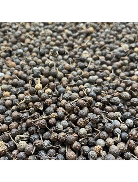 Achetez Cubèbe (Poivre à Queue) - Fruit 100g - Tisane de Piper cubeba à l'herboristerie Louis Image principale de Cubèbe (Poivre à Queue) - Fruit 100g - Tisane de Piper cubeba