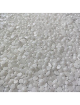 Image de Witepsol - Cire à couler pour suppositoires - 120 grammes depuis Echinacée Bio - Partie aérienne coupée 100g