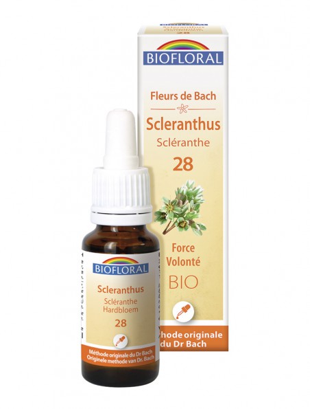 Achetez Scleranthus n°28 - Force et Volonté Bio aux Fleurs de Bach 20 ml - Biofloral à l'herboristerie Louis Image principale de Scleranthus n°28 - Force et Volonté Bio aux Fleurs de Bach 20 ml - Biofloral