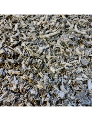 Image de Marrube blanc Bio - Partie aérienne coupée 100g - Tisane de Marrubium vulgare L. depuis Graines d'Ache des marais - Tisane Apium graveolens