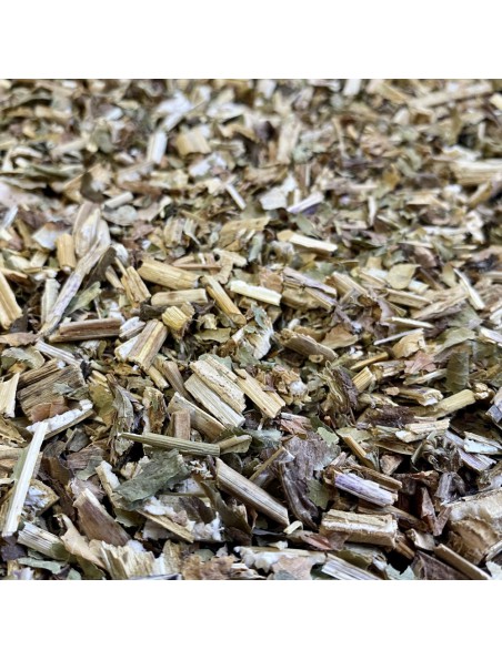 Achetez Laitue Vireuse - Partie aérienne coupée 100g - Tisane de Lactuca virosa à l'herboristerie Louis Image principale de Laitue Vireuse - Partie aérienne coupée 100g - Tisane de Lactuca virosa