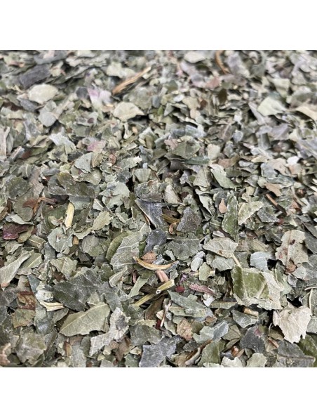 Achetez Fraisier Bio - Feuilles coupées 100 g - Tisane Fragaria vesca à l'herboristerie Louis Image principale de Fraisier Bio - Feuilles coupées 100 g - Tisane Fragaria vesca