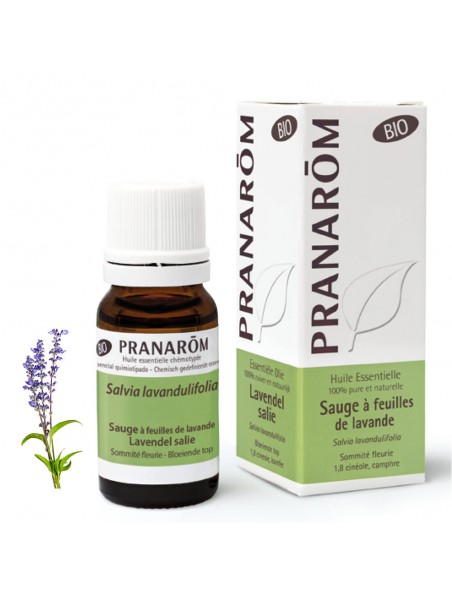 Achetez Sauge à feuilles de lavande Bio - Huiles essentielles de Salvia lavandulifolia 10 ml - Pranarôm à l'herboristerie Louis Image principale de Sauge à feuilles de lavande Bio - Huiles essentielles de Salvia lavandulifolia 10 ml - Pranarôm